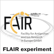 The FLAIR (Facility for Low-energy Antiproton and heavy-Ion Research) Collaboration